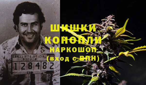 гидра Белокуриха